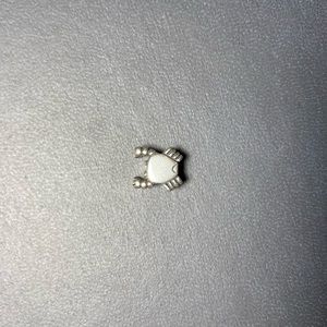 Pandora bracelet charm